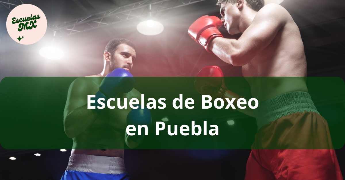 Inscripciones Cierran En 3 Días: Clases De Boxeo Edomex Inscripciones Cierran En 3 Días: Clases De Boxeo Edomex