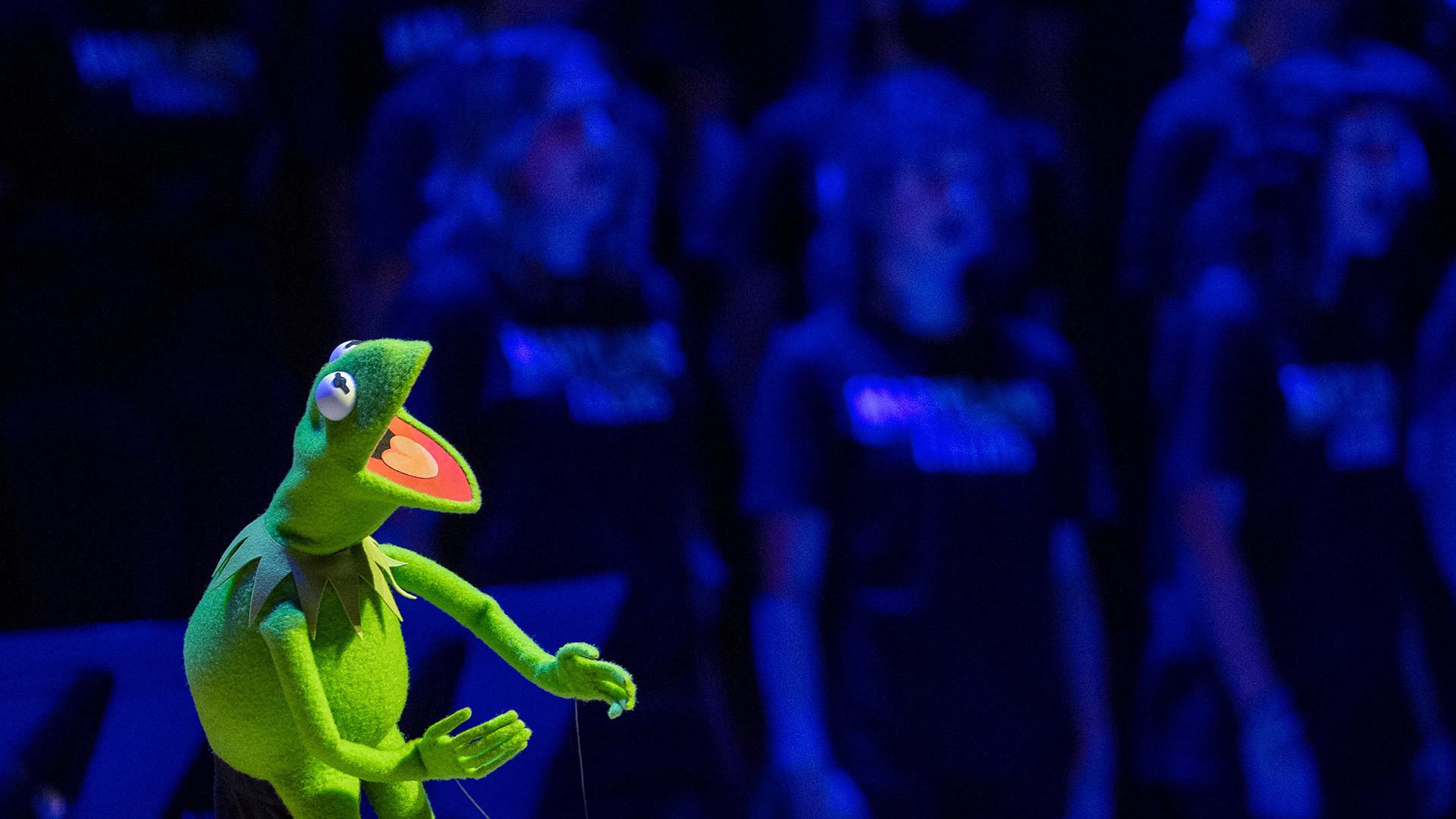 Internet Reacts: Kermit The Frog Speaks At UMD Graduation Internet Reacts: Kermit The Frog Speaks At UMD Graduation