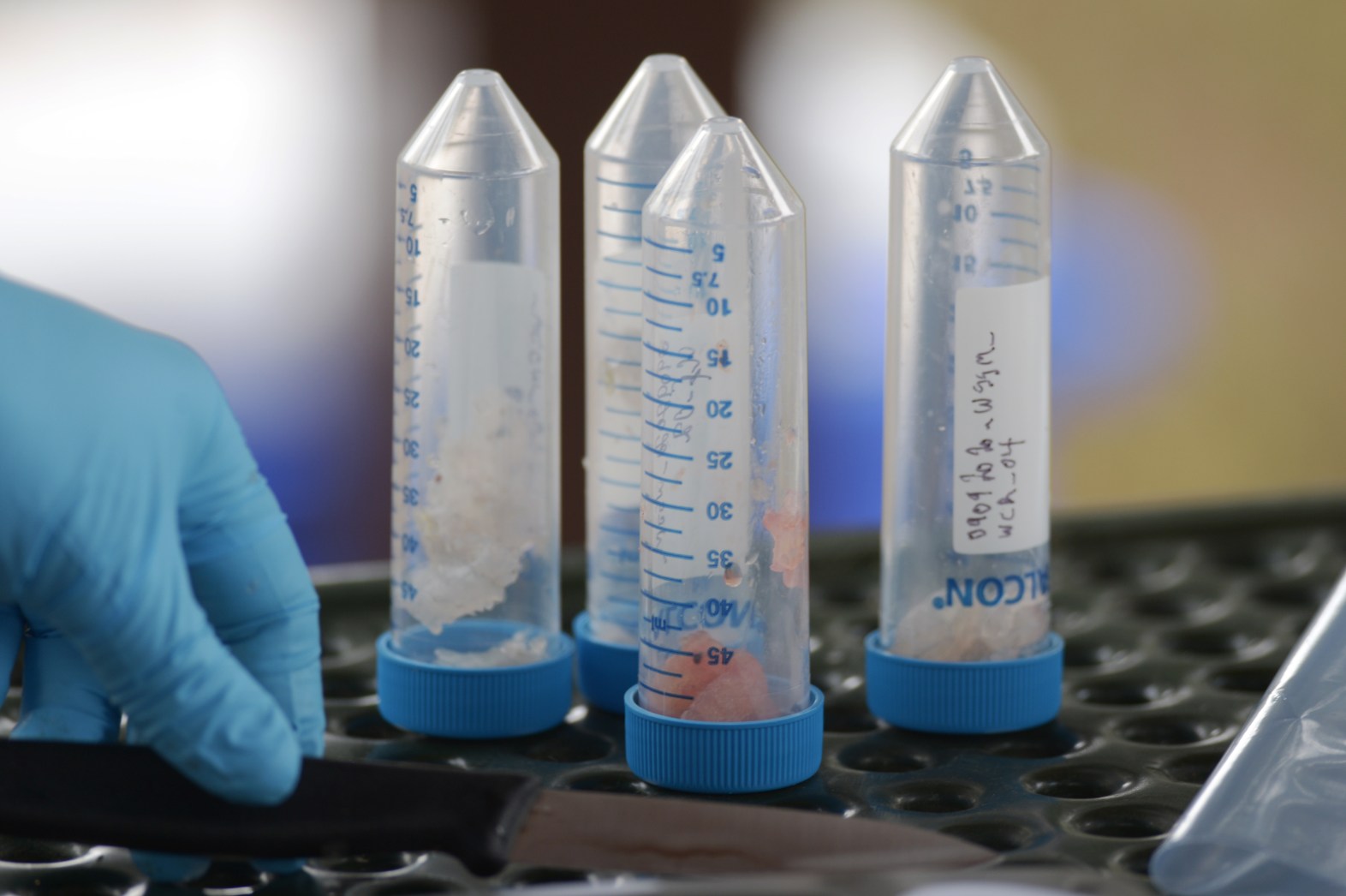 Investigation Reveals High PFAS Concentration In Blue Mountains Water Supply Investigation Reveals High PFAS Concentration In Blue Mountains Water Supply