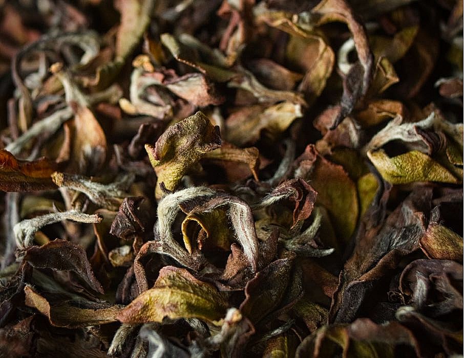 Is Darjeeling Tea's Future At Risk? A Look At Current Concerns Is Darjeeling Tea's Future At Risk? A Look At Current Concerns