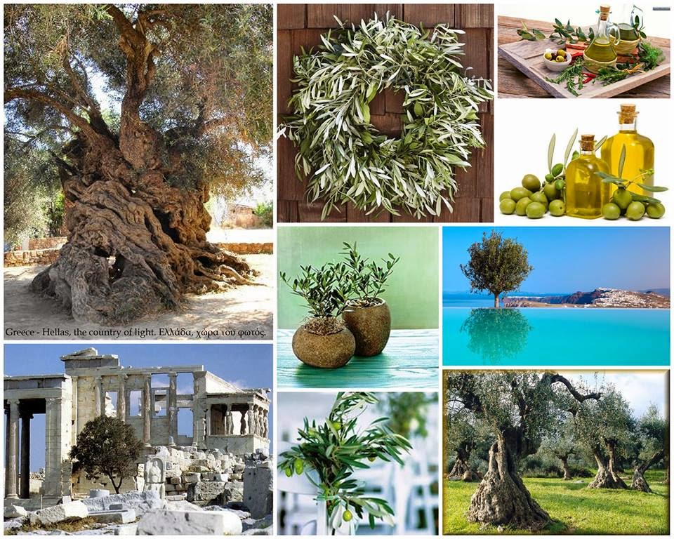 Ιστορικό Πατριαρχικού Συλλείτουργου Στο Όρος Των Ελαιών Ιστορικό Πατριαρχικού Συλλείτουργου Στο Όρος Των Ελαιών