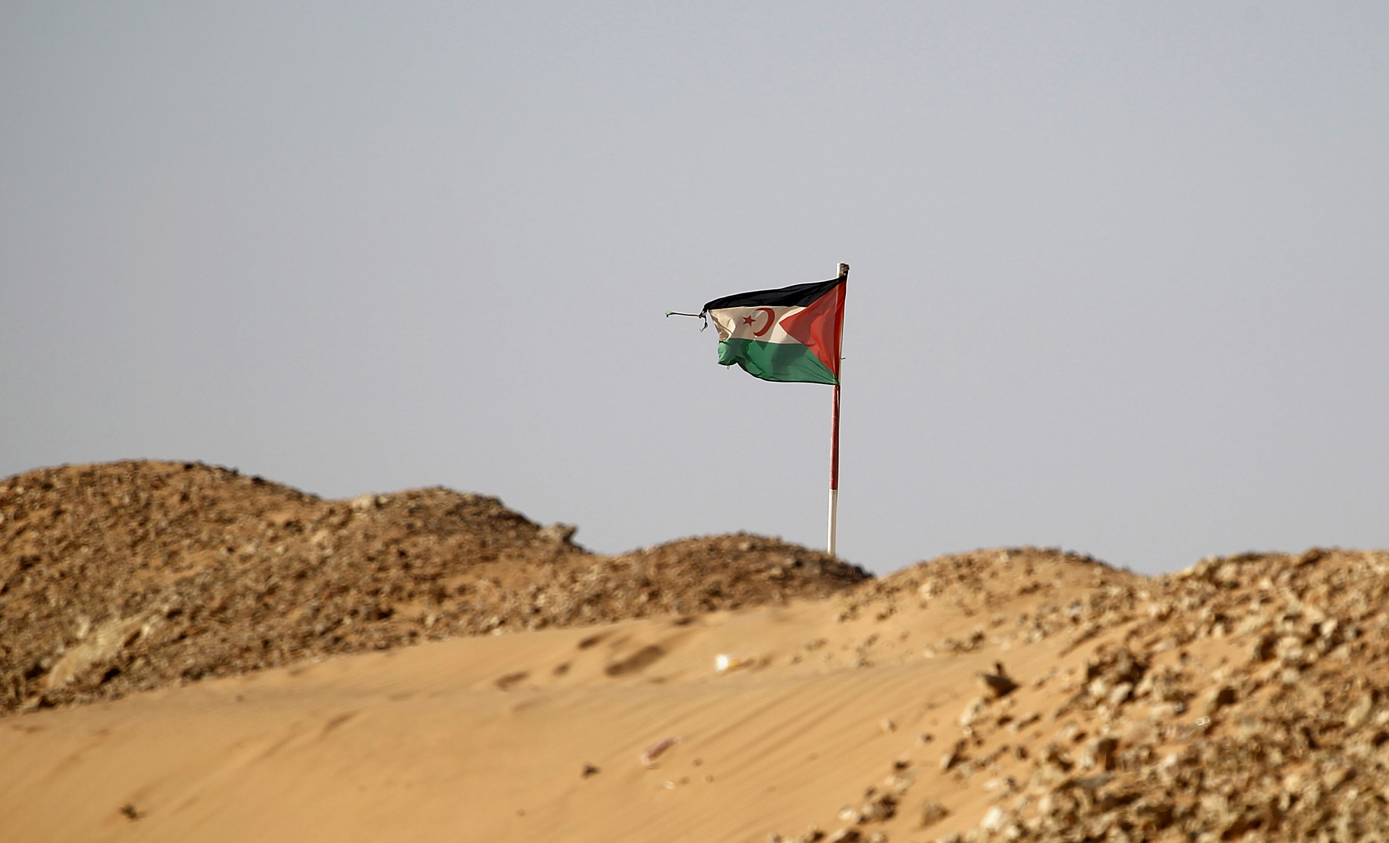 إيقاف طيار أجنبي: تصعيد جديد في قضية الصحراء الغربية إيقاف طيار أجنبي: تصعيد جديد في قضية الصحراء الغربية