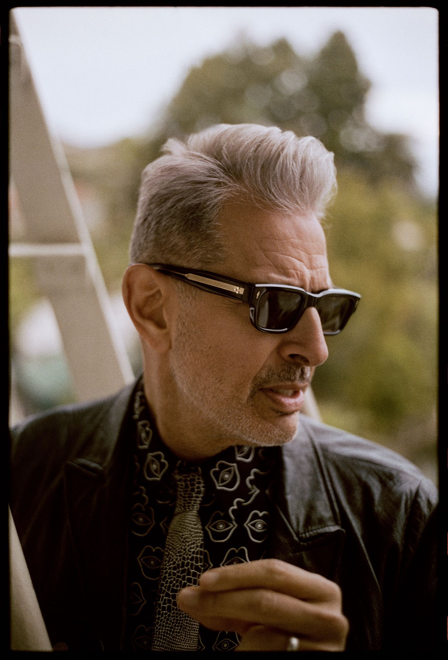 Jeff Goldblum's Regret: His Perspective On The Fly's Conclusion Jeff Goldblum's Regret: His Perspective On The Fly's Conclusion