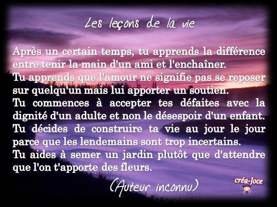 José Aldo: Inspirations Et Leçons De Vie D'un Champion José Aldo: Inspirations Et Leçons De Vie D'un Champion
