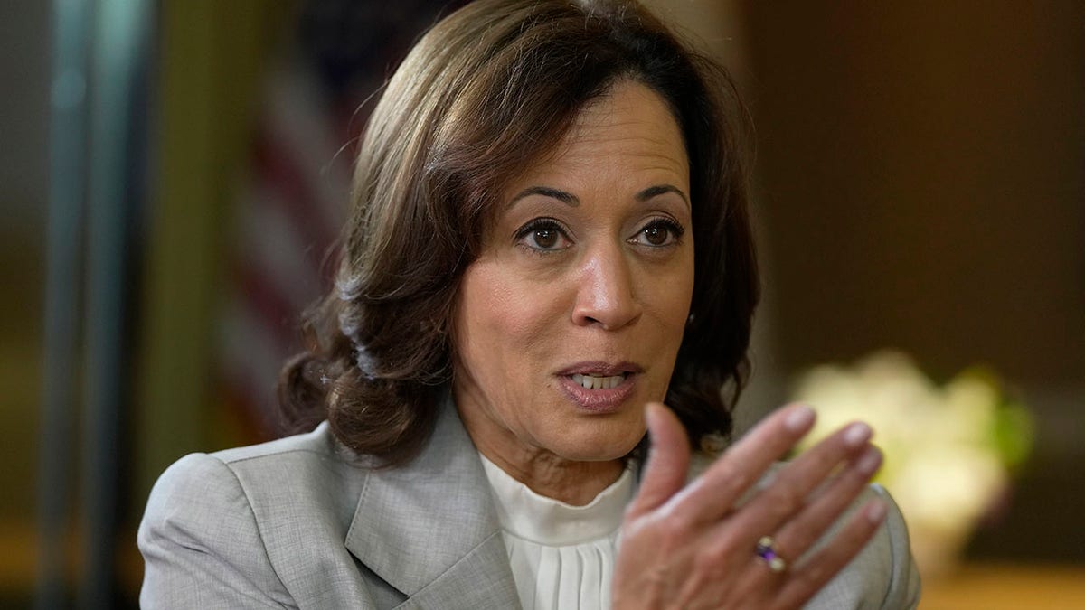 Kamala Harris' Next Move: Timing Of Her Political Comeback Kamala Harris' Next Move: Timing Of Her Political Comeback