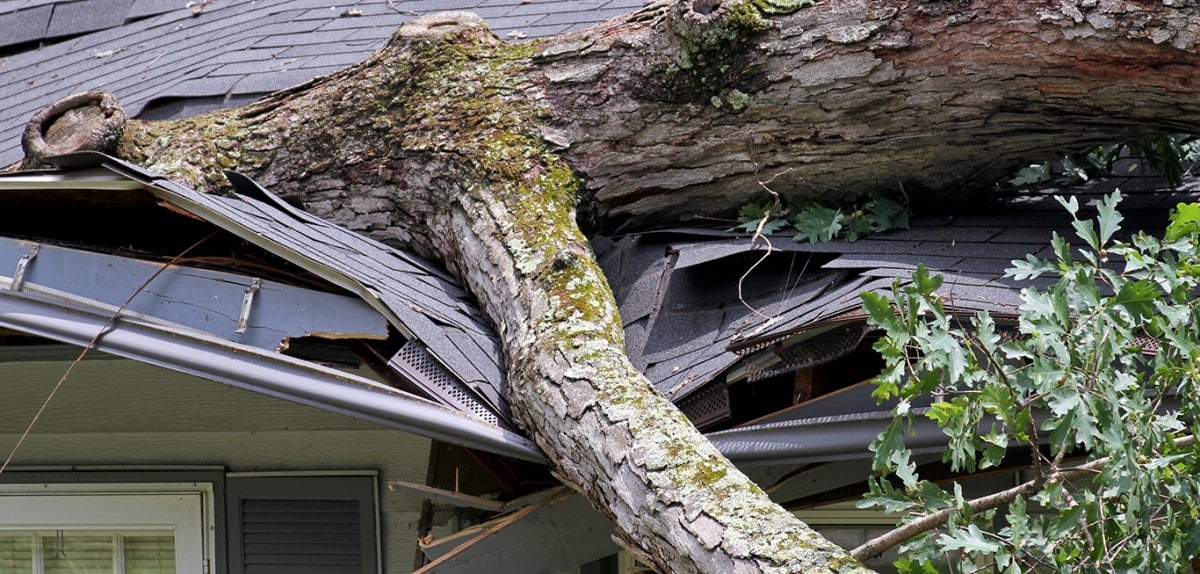 Kentucky Storm Damage Assessments: Delays And Reasons