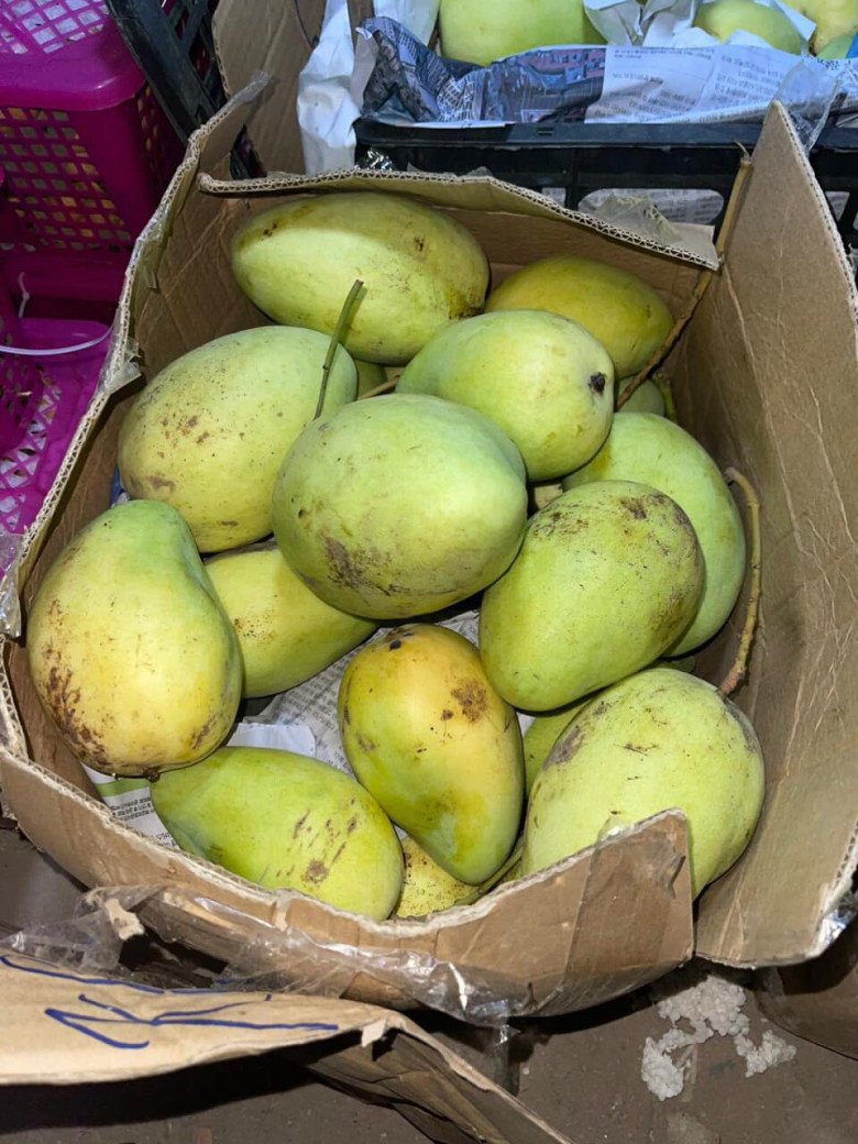 Khám Phá Loại Quả Xưa, Nay Được Dân Thành Phố Ưa Chuộng (60.000đ/kg) Khám Phá Loại Quả Xưa, Nay Được Dân Thành Phố Ưa Chuộng (60.000đ/kg)