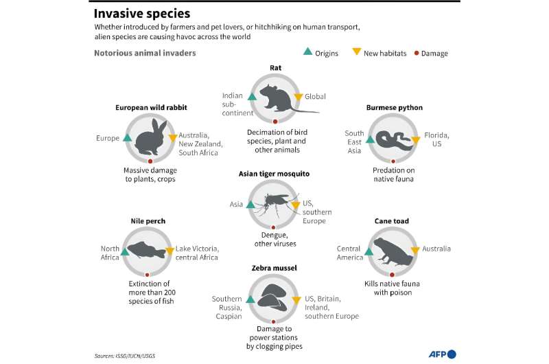 Killer Seaweed: The Extent Of The Invasive Species Problem In Australia Killer Seaweed: The Extent Of The Invasive Species Problem In Australia