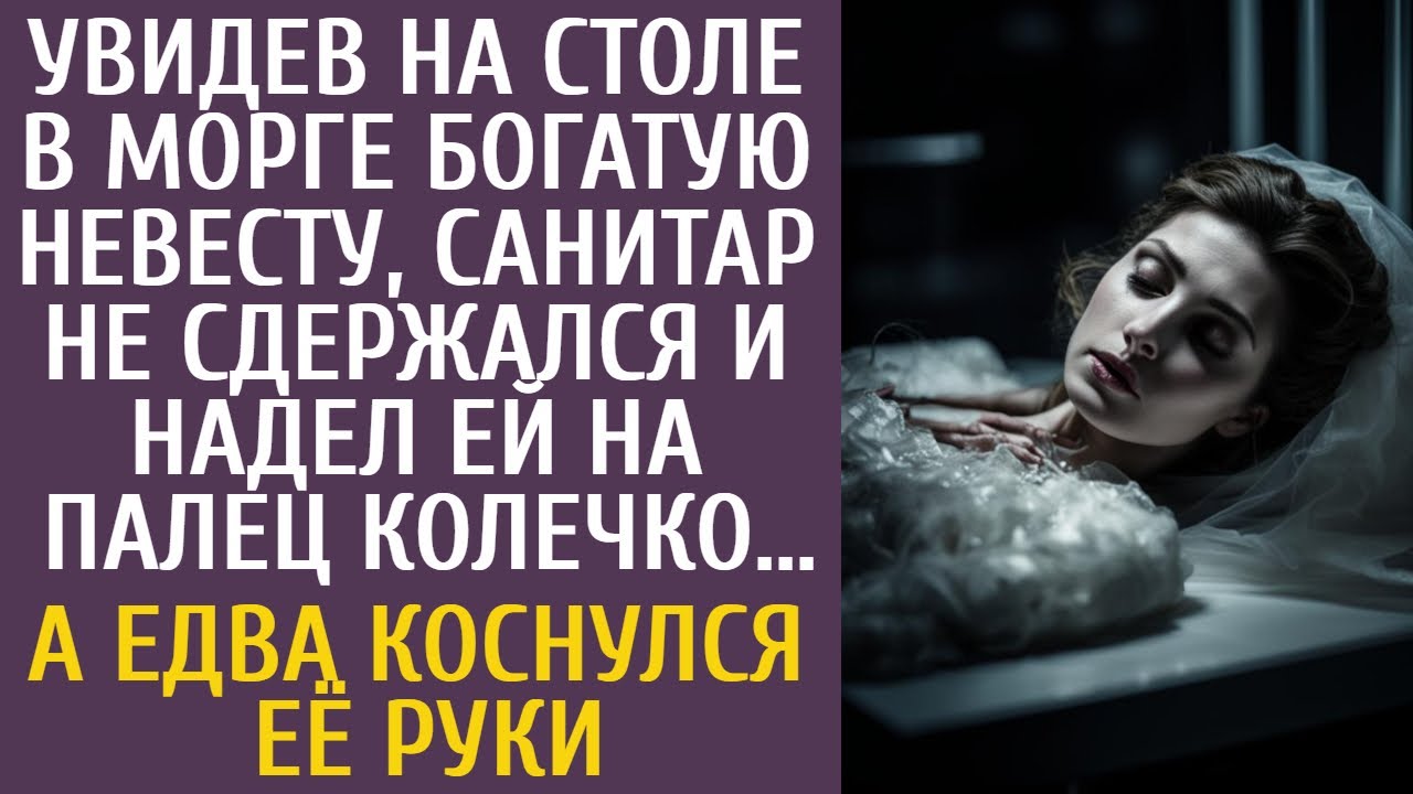 Кинг Против Маска: Писатель Вернулся В X И Не Сдержался Кинг Против Маска: Писатель Вернулся В X И Не Сдержался