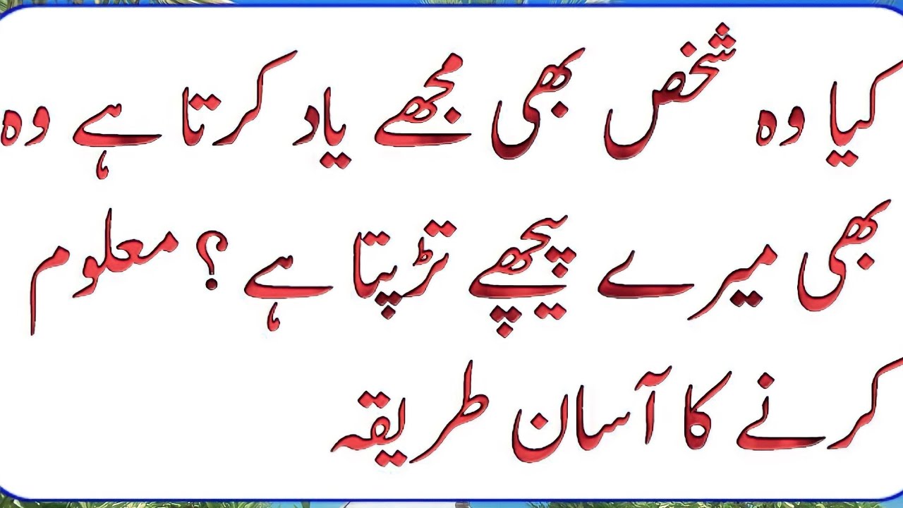 کشمیریوں کے حقوق: جنوبی ایشیاء میں امن کے لیے ایک لازمی شرط کشمیریوں کے حقوق: جنوبی ایشیاء میں امن کے لیے ایک لازمی شرط