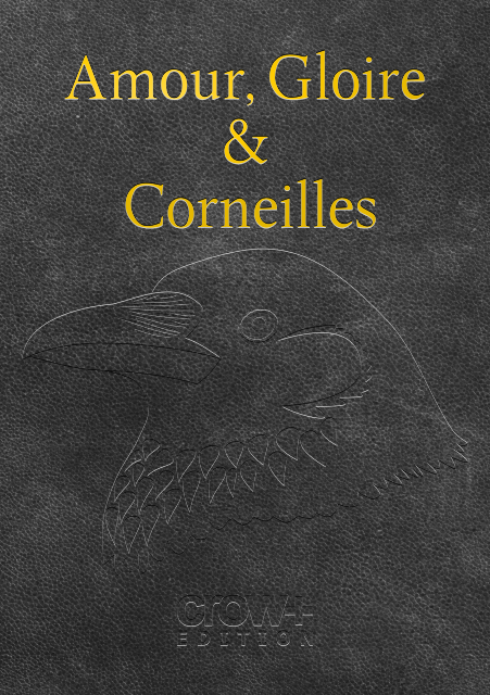 La Géométrie Des Corneilles: Une Performance Cognitive Supérieure À Celle Des Babouins. La Géométrie Des Corneilles: Une Performance Cognitive Supérieure À Celle Des Babouins.