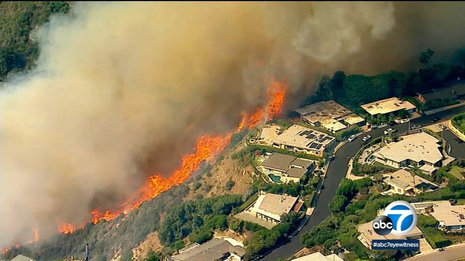 LA Palisades Fire: Which Celebrities Lost Their Homes? LA Palisades Fire: Which Celebrities Lost Their Homes?