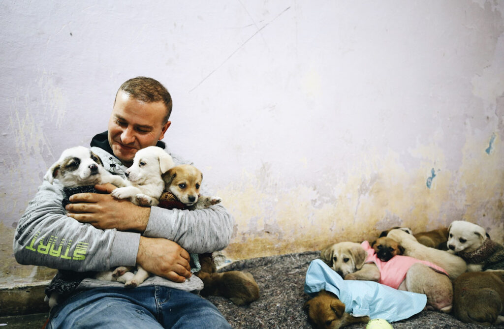 Lars Klingbeil Receives Order For Animal Welfare Efforts Lars Klingbeil Receives Order For Animal Welfare Efforts