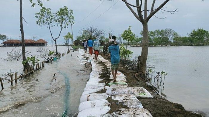 Lindungi Warga Pesisir: DPR Bahas Pembangunan Tembok Laut Besar Lindungi Warga Pesisir: DPR Bahas Pembangunan Tembok Laut Besar