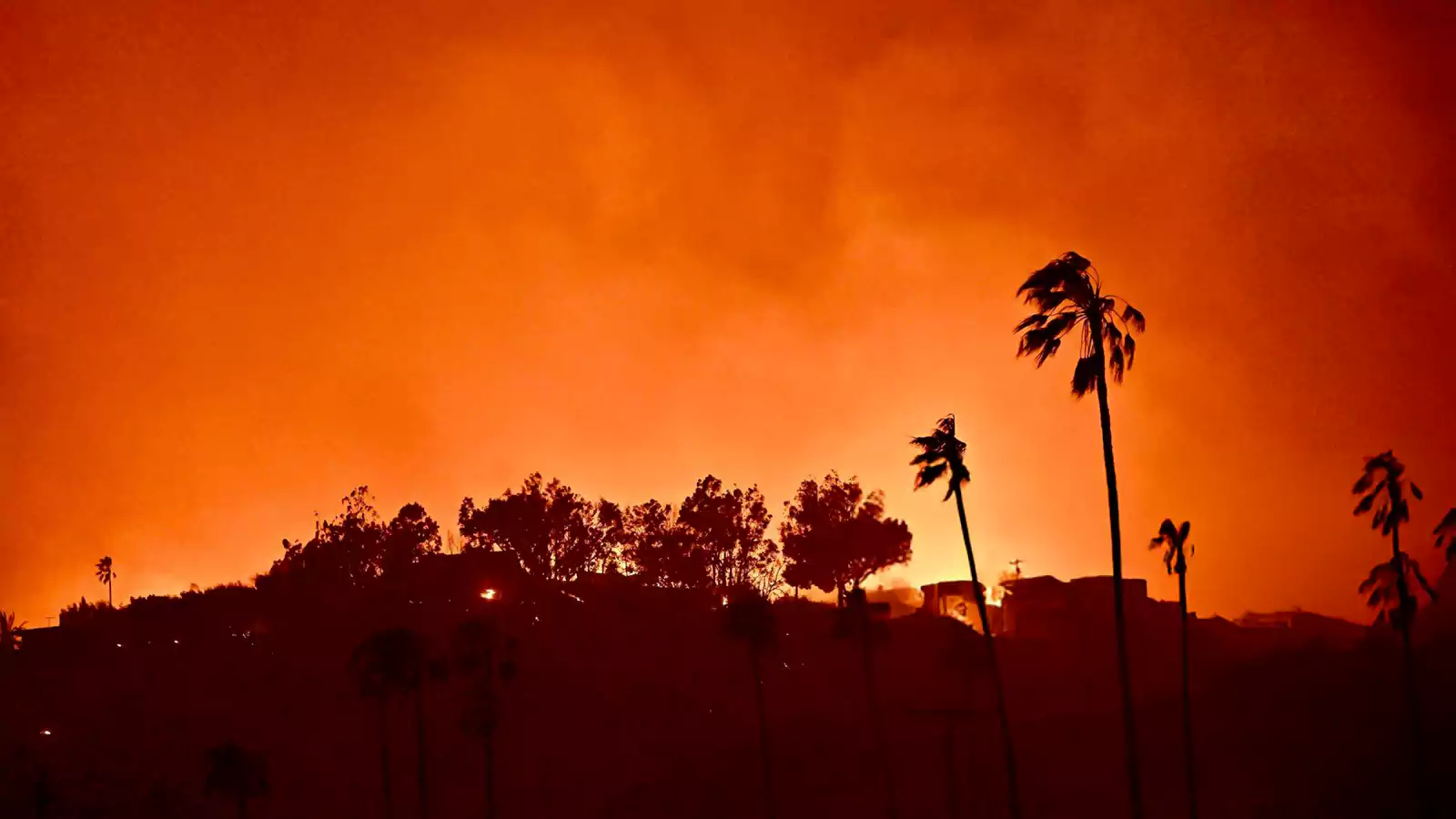 Los Angeles Wildfires: A Reflection Of Our Times Through Disaster Betting Los Angeles Wildfires: A Reflection Of Our Times Through Disaster Betting