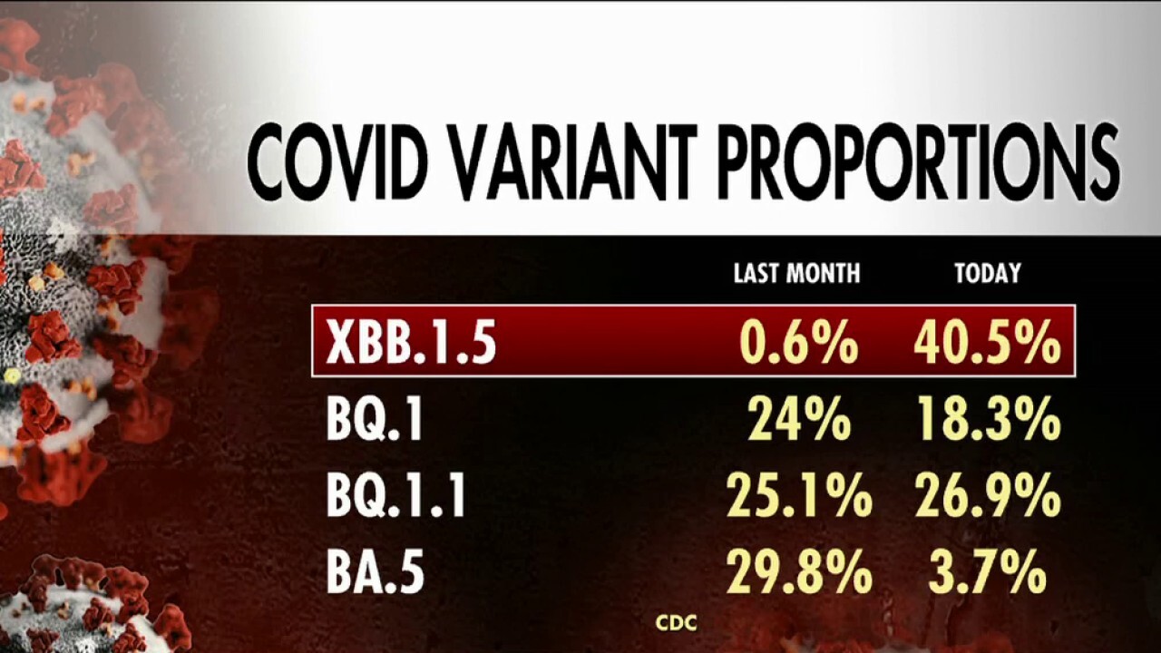 LP.8.1 COVID Variant: Key Facts And Concerns LP.8.1 COVID Variant: Key Facts And Concerns