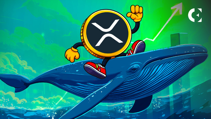 Major XRP Whale Transaction: 20 Million Tokens Acquired Major XRP Whale Transaction: 20 Million Tokens Acquired
