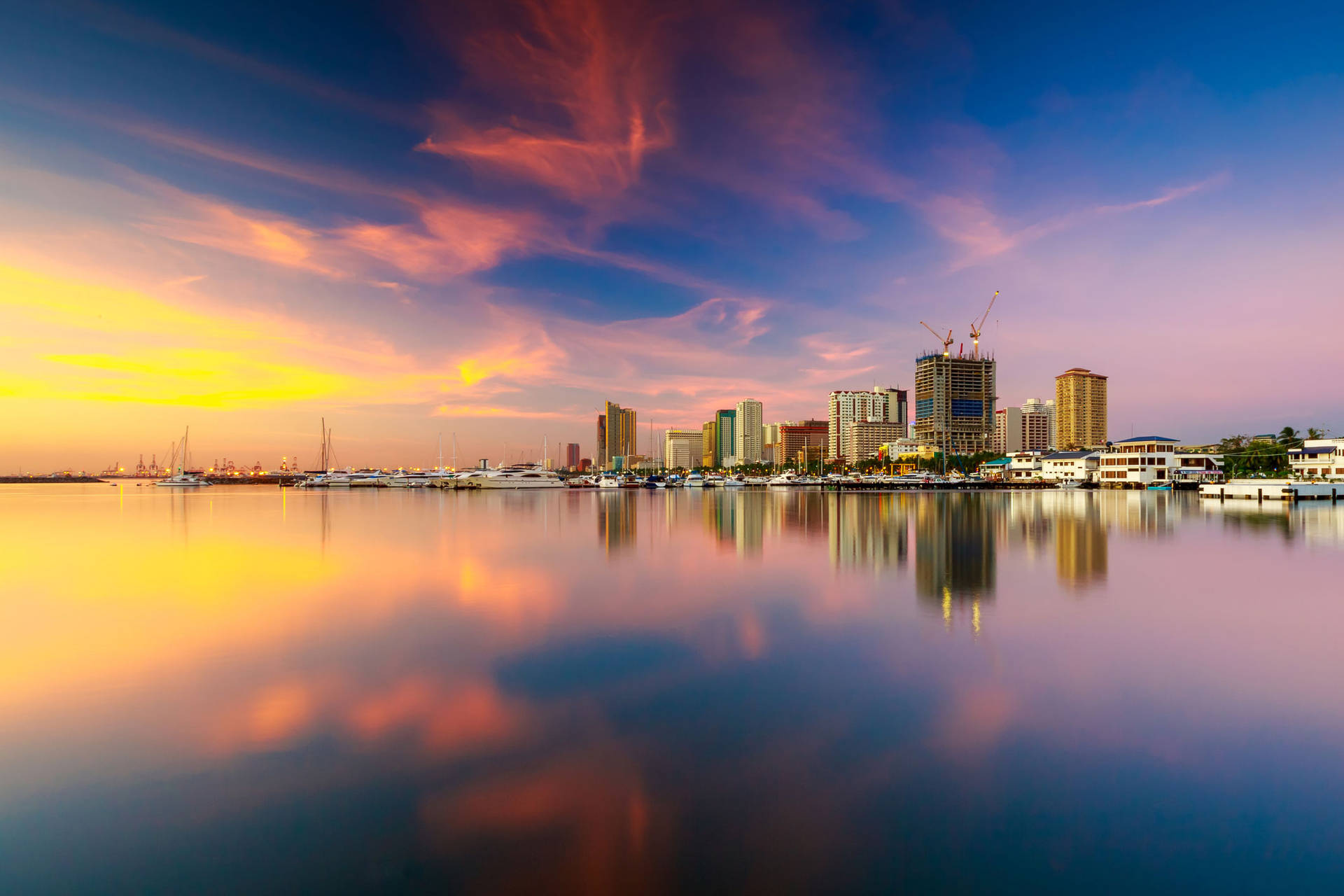 Manila Bay: Alive And Thriving – But For How Long? Manila Bay: Alive And Thriving – But For How Long?