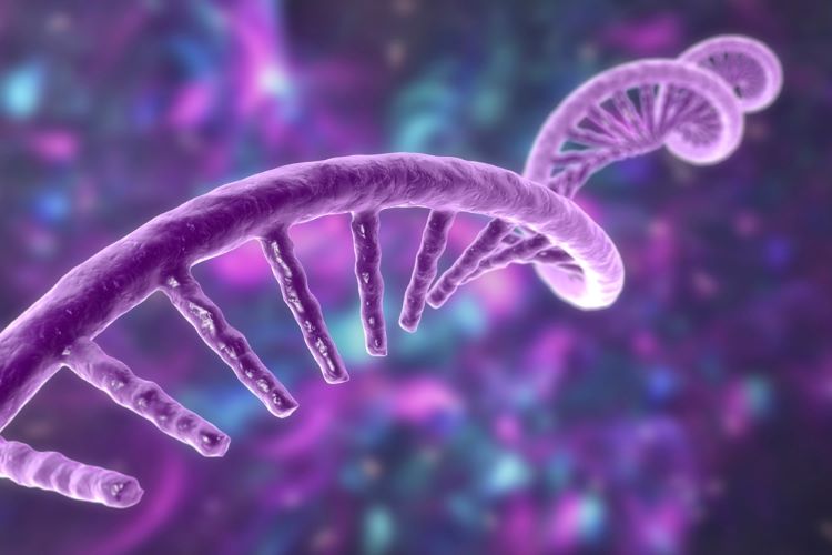 March 27, 2025 (Thursday): 5 Key Developments