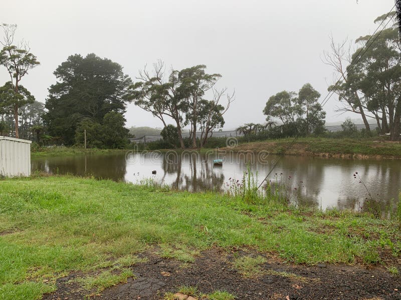 March's Rainfall: Still Short Of Ending Water Deficit March's Rainfall: Still Short Of Ending Water Deficit