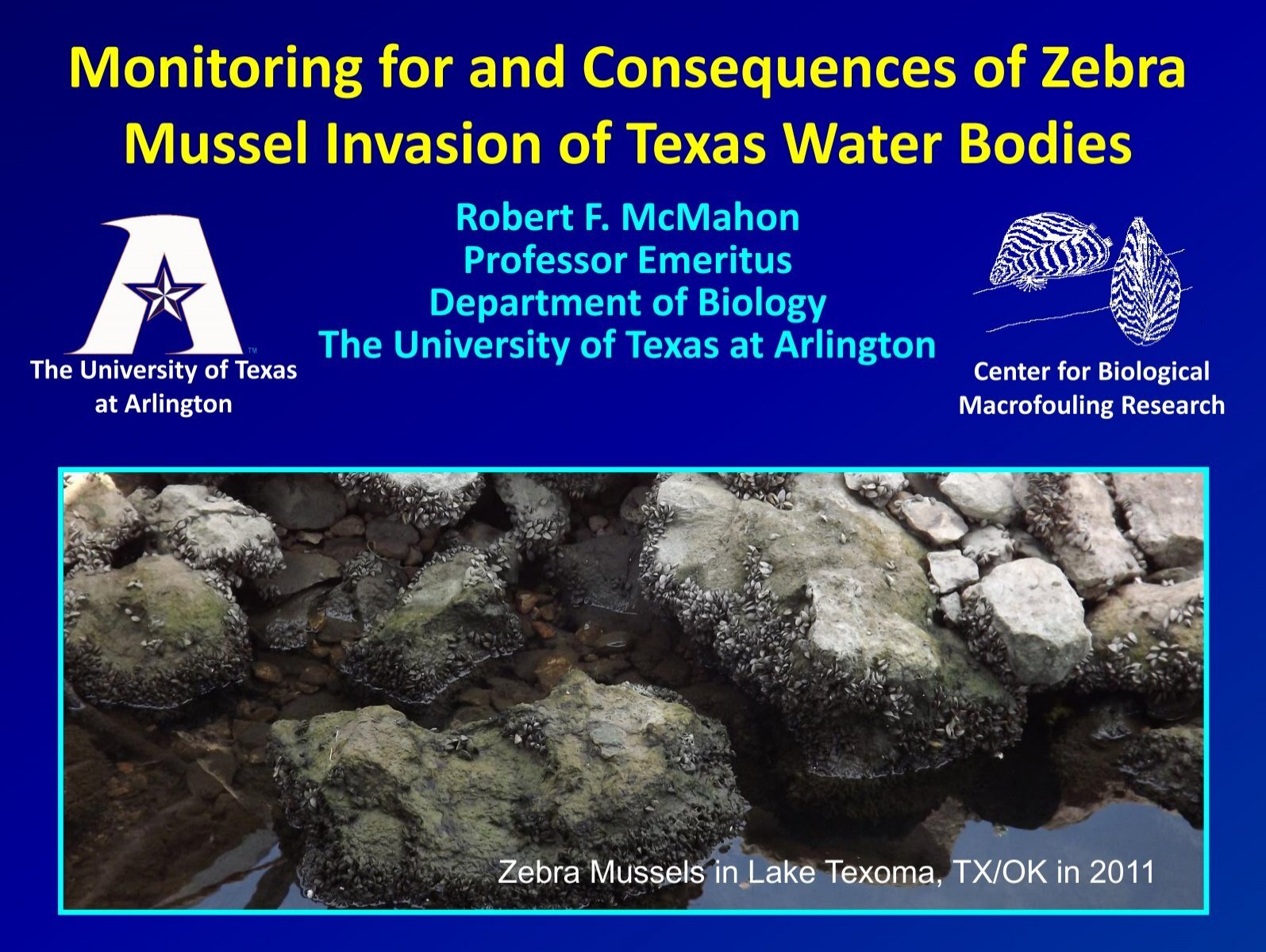 Massive Zebra Mussel Infestation Discovered In Casper Massive Zebra Mussel Infestation Discovered In Casper