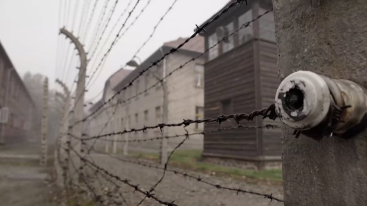 Meta Israel's 2024 Holocaust Remembrance Day Instagram Project: Israeli Celebrities Participate Meta Israel's 2024 Holocaust Remembrance Day Instagram Project: Israeli Celebrities Participate