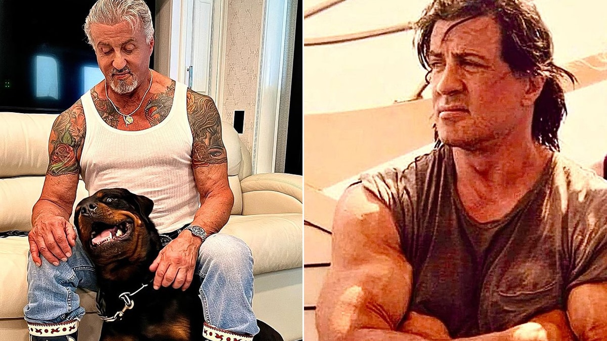 Mon Atelier : Rencontre Inattendue Avec Sylvester Stallone Et Exposition De Mes Œuvres