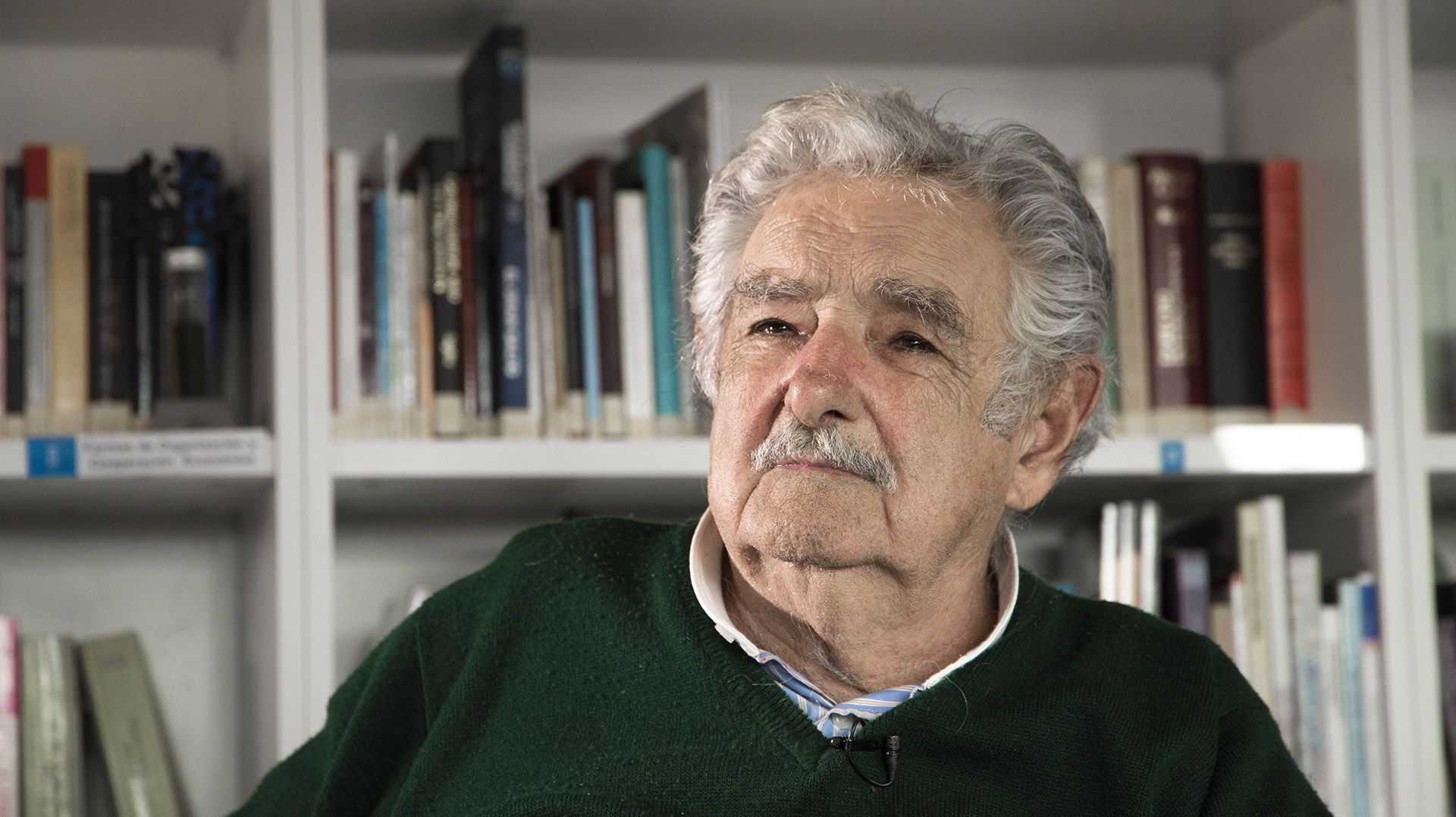 Muere José Muere José