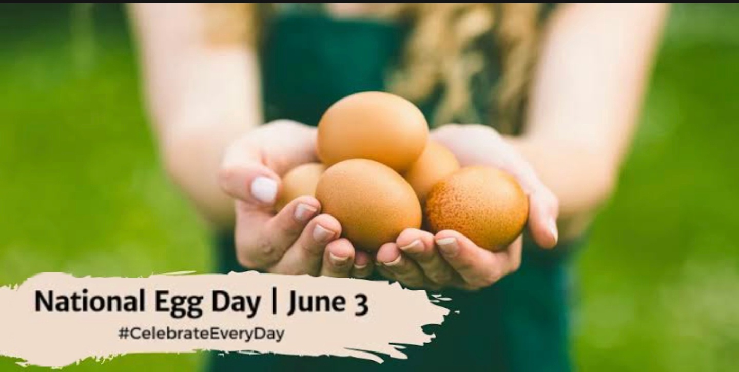 National Egg Price Decline: Dozens Under $5 National Egg Price Decline: Dozens Under $5