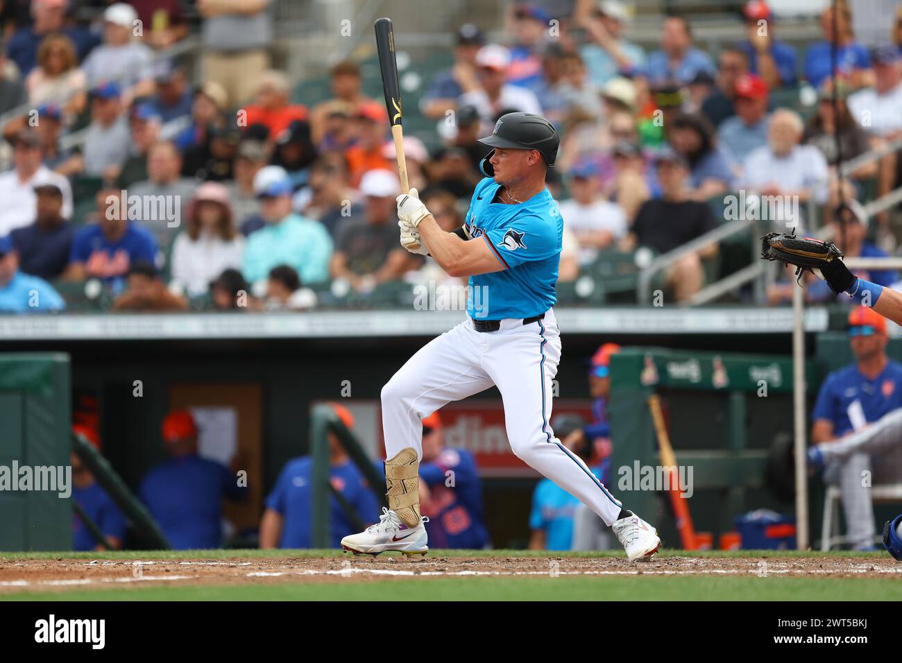 Nationals Fall To Marlins: Stowers And Conine Deliver Key Performances Nationals Fall To Marlins: Stowers And Conine Deliver Key Performances