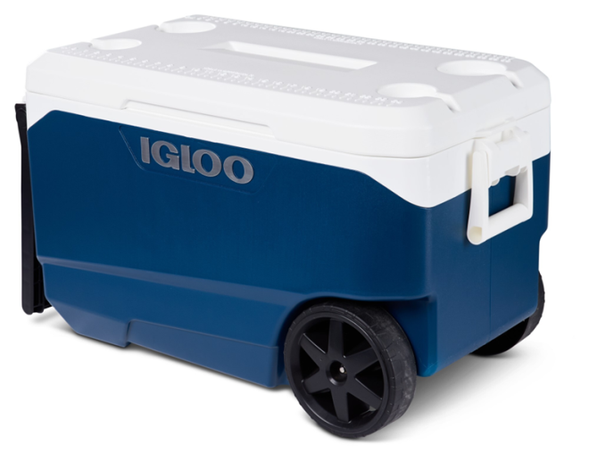Nationwide Recall: Walmart's Igloo Coolers Pose Serious Amputation Danger Nationwide Recall: Walmart's Igloo Coolers Pose Serious Amputation Danger