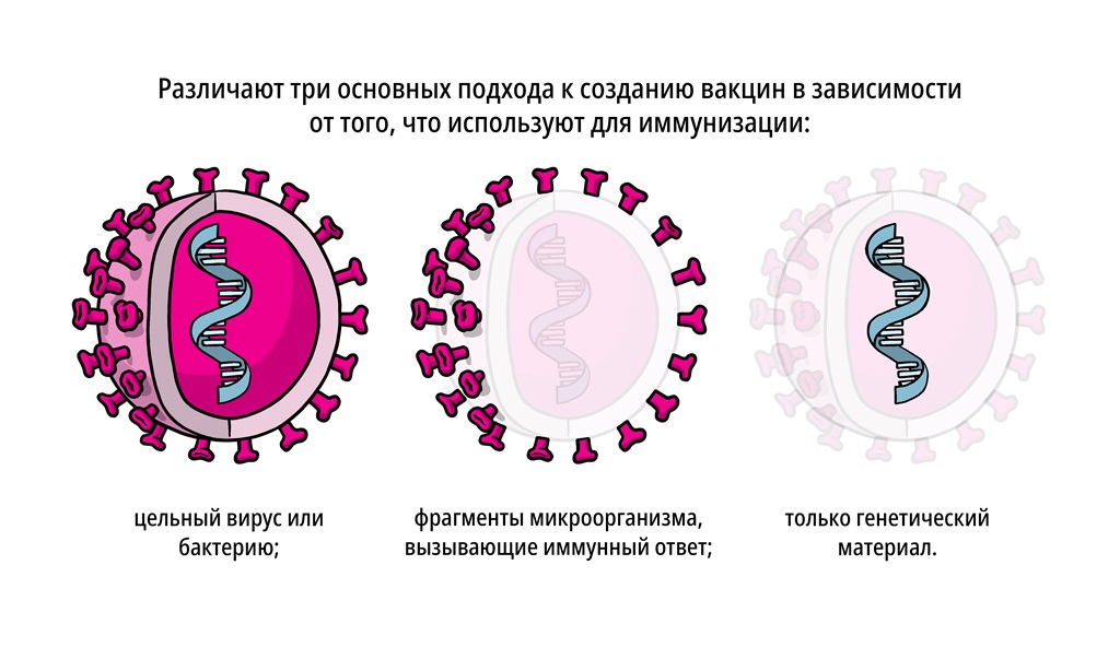 Нехватка Вакцин Против Кори В Монголии: Последствия Эпидемии Нехватка Вакцин Против Кори В Монголии: Последствия Эпидемии