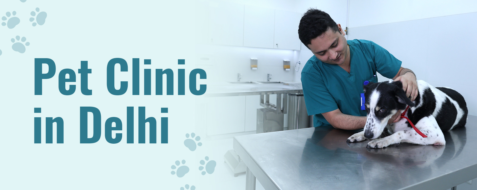New Uber Pet Service Launch: Delhi And Mumbai New Uber Pet Service Launch: Delhi And Mumbai