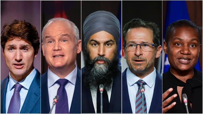 NL Federal Election: In-depth Look At Each Candidate NL Federal Election: In-depth Look At Each Candidate