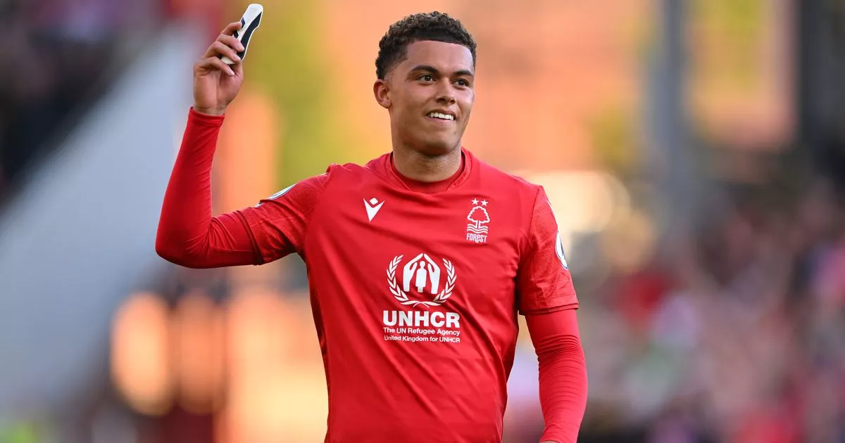 Nottingham Forest: Two Strikers Isn't Enough – A Summer Transfer Priority Nottingham Forest: Two Strikers Isn't Enough – A Summer Transfer Priority