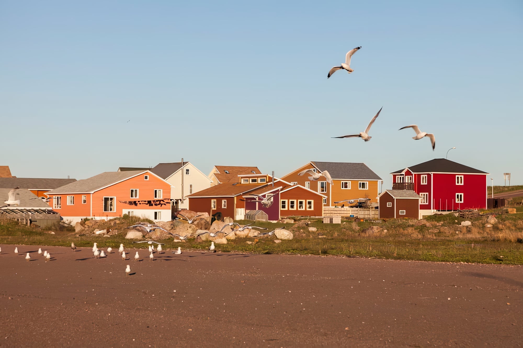 On Quitte Tout Facilement ? Saint-Pierre-et-Miquelon Réagit Aux OQTF On Quitte Tout Facilement ? Saint-Pierre-et-Miquelon Réagit Aux OQTF