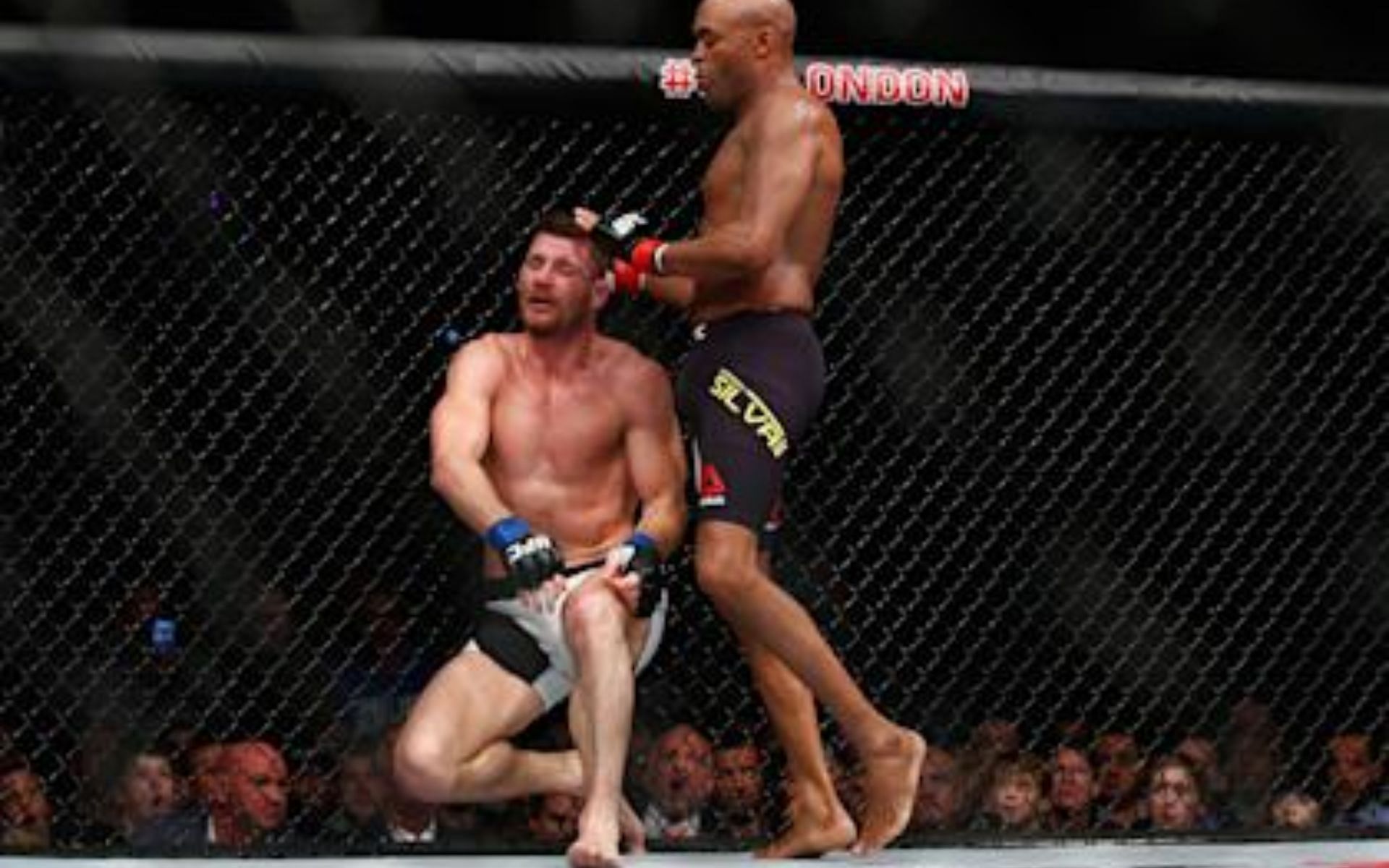 One Last Fight? UFC Legend To Face Bantamweight Veteran On May 3rd One Last Fight? UFC Legend To Face Bantamweight Veteran On May 3rd