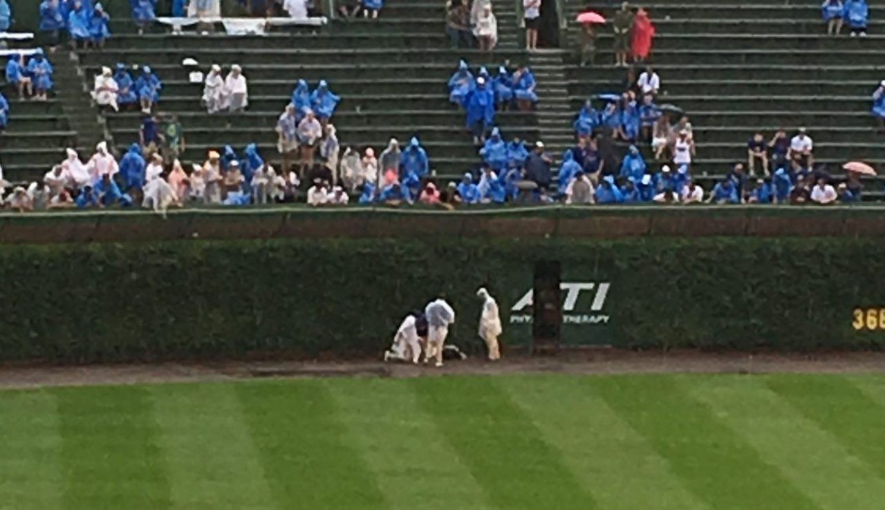 Outfield Fall Leaves Fan Injured During Cubs Game Outfield Fall Leaves Fan Injured During Cubs Game