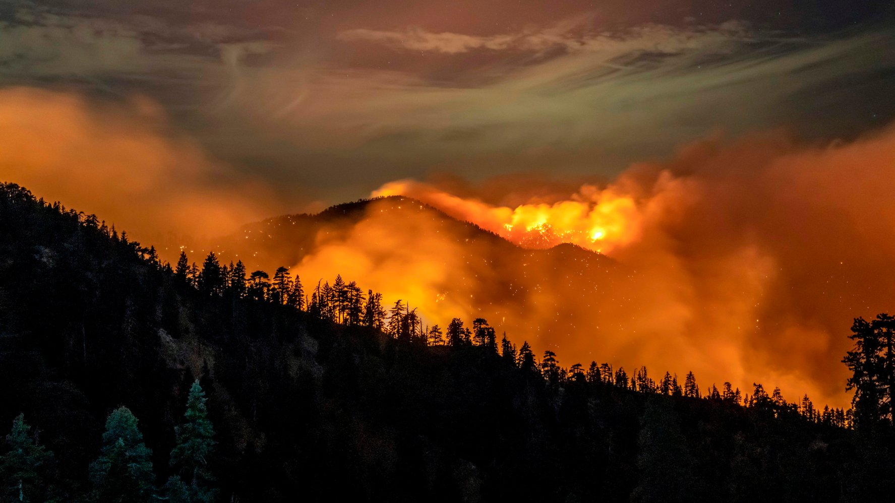 People Betting On Wildfires: A Disturbing Trend People Betting On Wildfires: A Disturbing Trend