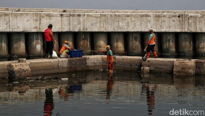 Perlindungan Warga Pesisir: Peran Giant Sea Wall Dan Dukungan DPR Perlindungan Warga Pesisir: Peran Giant Sea Wall Dan Dukungan DPR