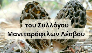 Πολεοδομική Διαφθορά: Προκλήσεις Και Λύσεις Για Την Επανίδρυση Του Κράτους Πολεοδομική Διαφθορά: Προκλήσεις Και Λύσεις Για Την Επανίδρυση Του Κράτους