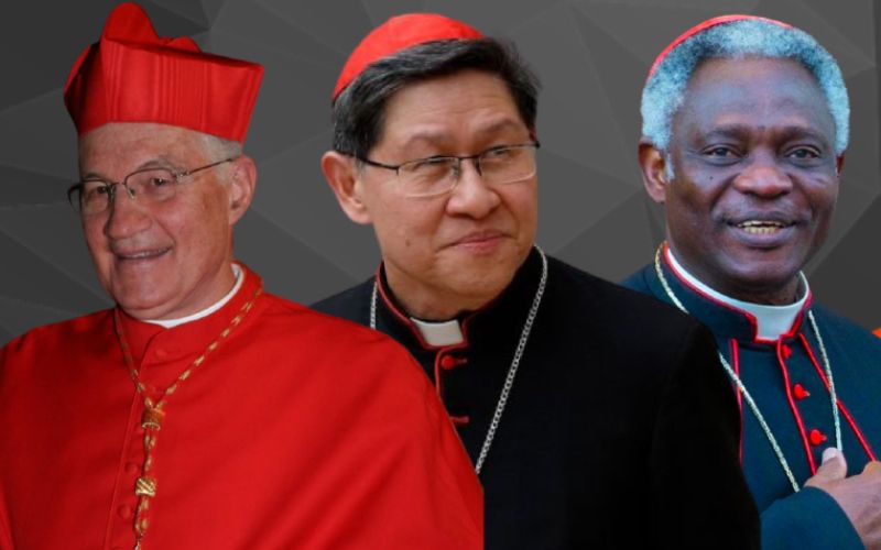 Potential Next Pope: Examining Nine Prominent Cardinals Potential Next Pope: Examining Nine Prominent Cardinals
