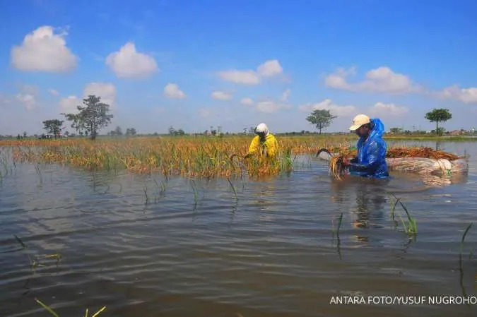 Prakiraan Cuaca Besok, 24 April 2024 Di Jawa Tengah: Waspada Hujan Sore Prakiraan Cuaca Besok, 24 April 2024 Di Jawa Tengah: Waspada Hujan Sore