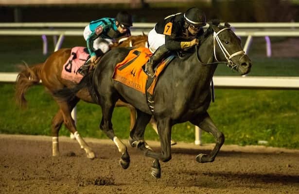 Predicting The 2025 Louisiana Derby: Odds, Horses, And Kentucky Derby Prospects Predicting The 2025 Louisiana Derby: Odds, Horses, And Kentucky Derby Prospects