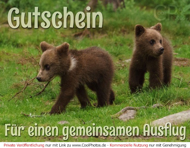 Pretzfeld: Tipps Für Einen Ausflug Während Der Kirschblüte Pretzfeld: Tipps Für Einen Ausflug Während Der Kirschblüte
