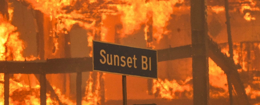 Price Gouging Allegations Surface In LA Following Devastating Fires: A Selling Sunset Star's Perspective Price Gouging Allegations Surface In LA Following Devastating Fires: A Selling Sunset Star's Perspective