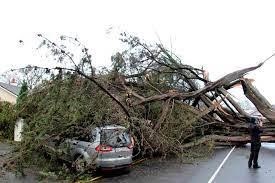 Protecting Yourself From Damaging Winds During Fast-Moving Storms Protecting Yourself From Damaging Winds During Fast-Moving Storms