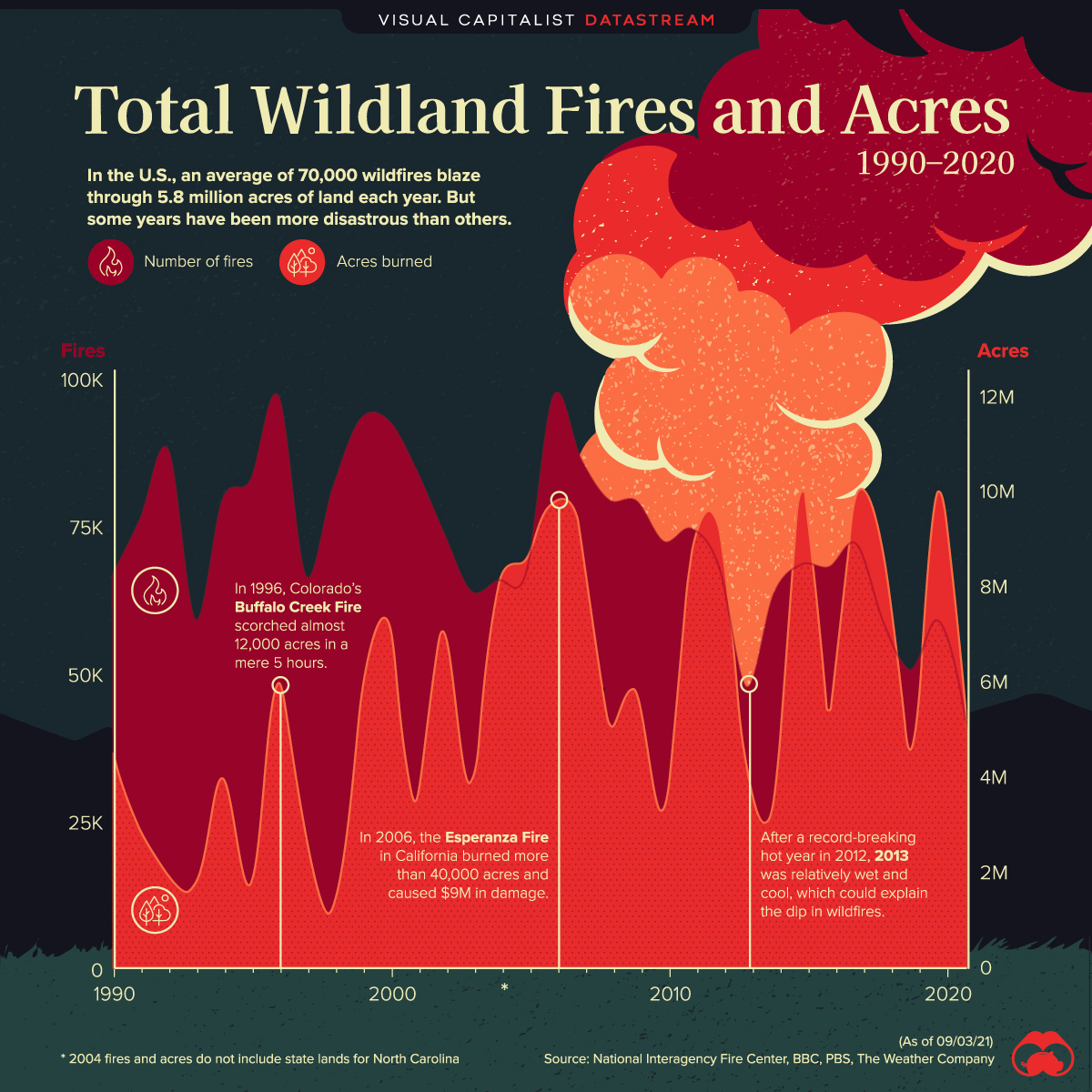 Record-Breaking Forest Loss: Wildfires Drive Global Destruction Record-Breaking Forest Loss: Wildfires Drive Global Destruction
