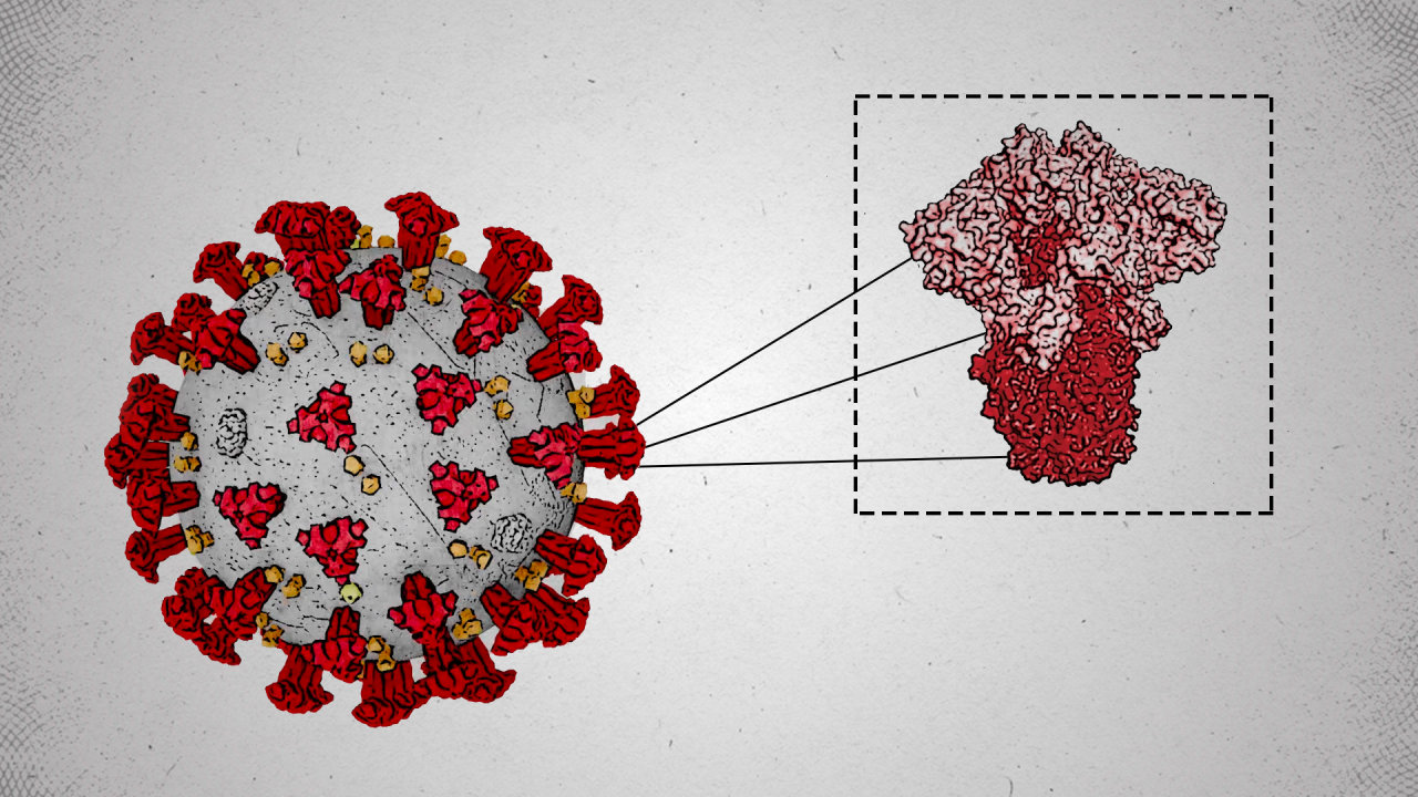 Rising COVID-19 Cases: WHO Investigates New Variant's Role Rising COVID-19 Cases: WHO Investigates New Variant's Role