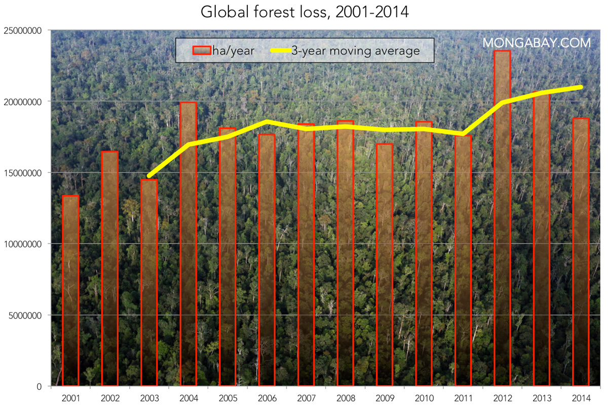 Rising Global Forest Loss: The Devastating Role Of Wildfires Rising Global Forest Loss: The Devastating Role Of Wildfires